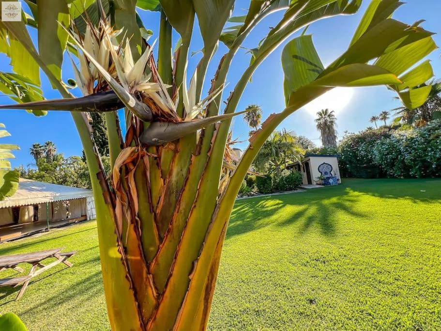 Finca Tierra Sana Estepona Eksteriør bilde