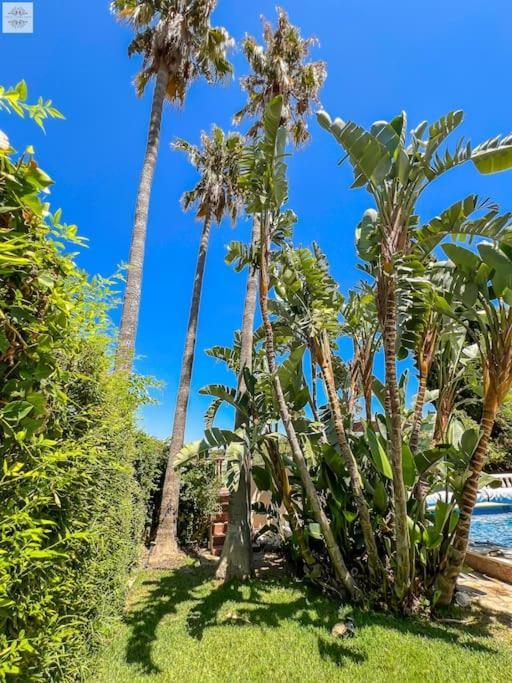 Finca Tierra Sana Estepona Eksteriør bilde