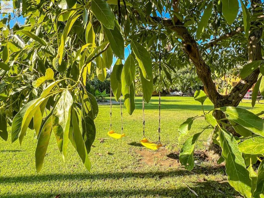 Finca Tierra Sana Estepona Eksteriør bilde