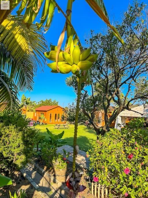 Finca Tierra Sana Estepona Eksteriør bilde